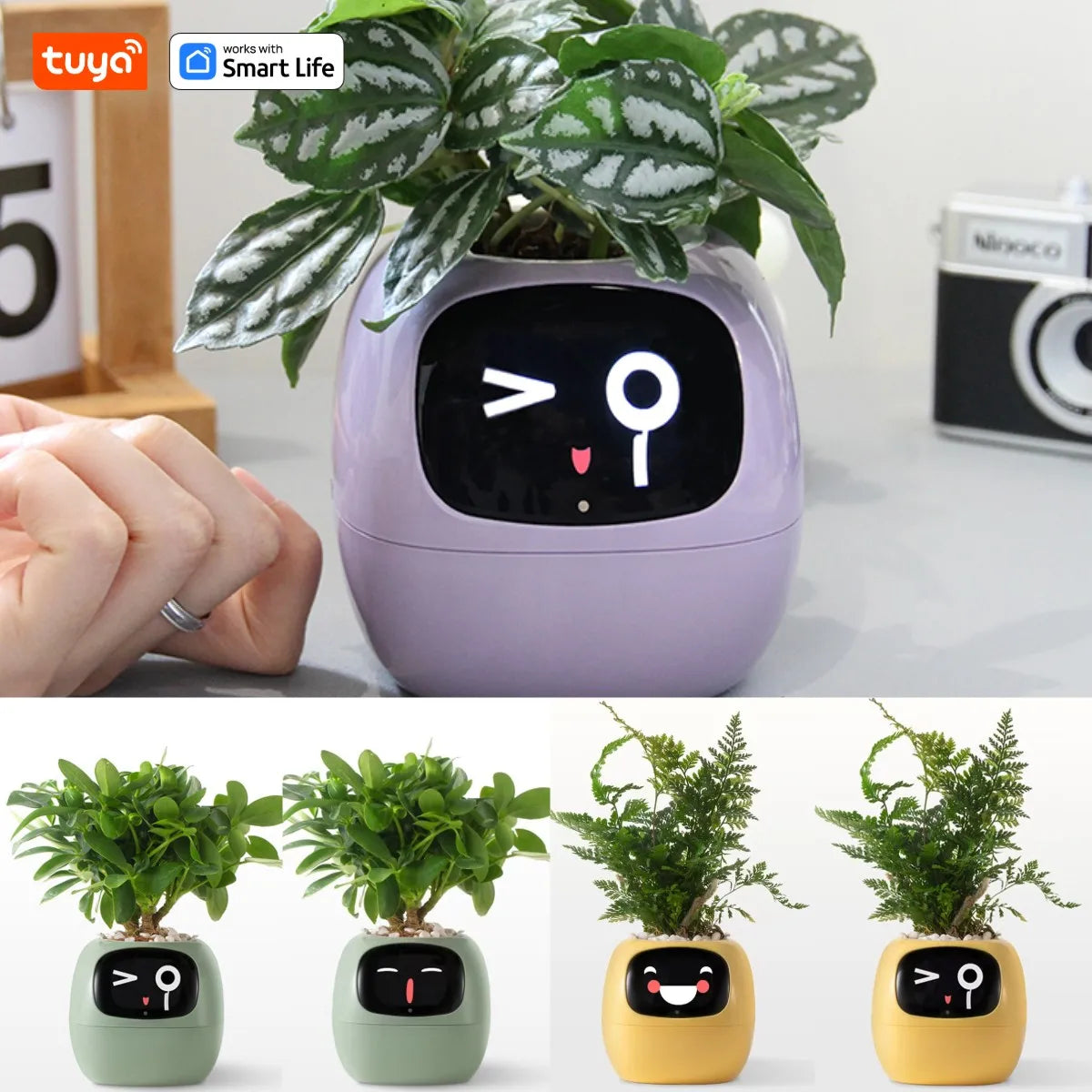 Tuya Ivy Smart Planter,Endless Fun over 49 Rich Expressions,7 Smart Sensors,Ai Chips Make Raising Plants Easy and Fun